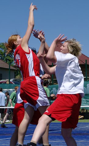 img00171.jpg