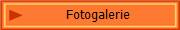 Fotogalerie